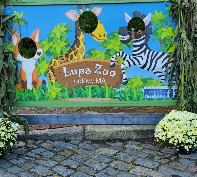 Zoo (Ludlow,&nbspMA)
